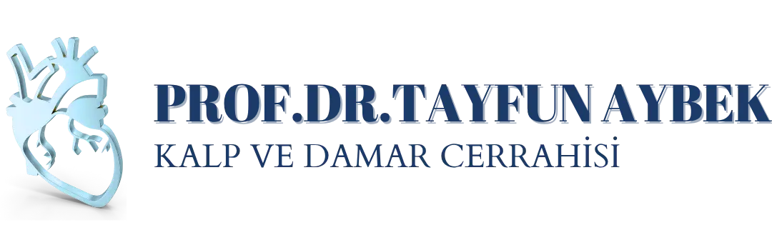 Prof. Dr. Tayfun Aybek